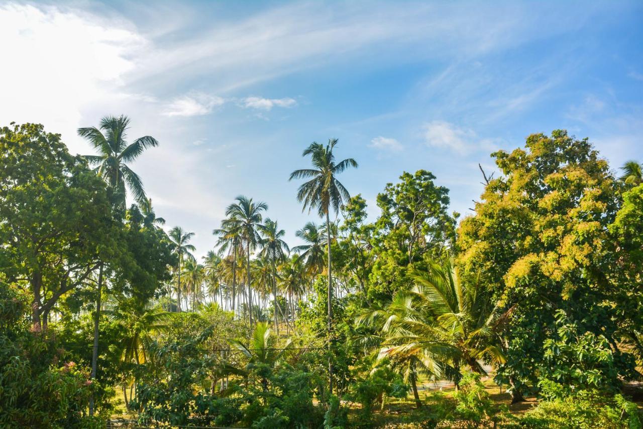 Janu Homestay Tangalle Esterno foto